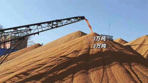 國(guó)常會(huì)重磅！實(shí)施新一輪千億斤糧食產(chǎn)能提升行動(dòng)
